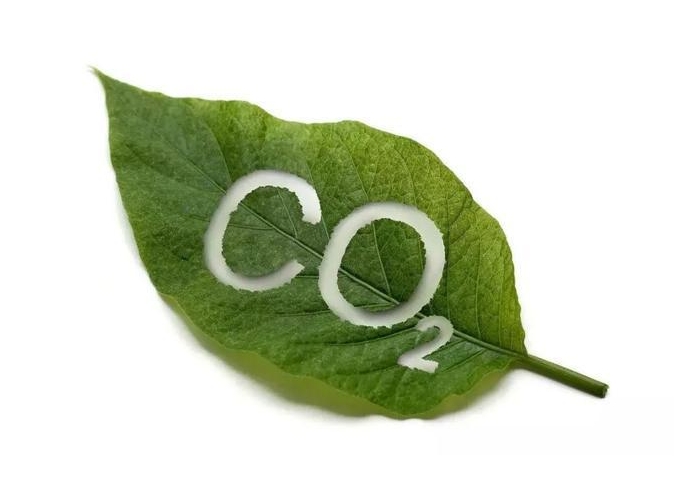 CCUSLand